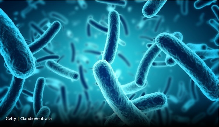 Our genes shape our gut bacteria, new research shows