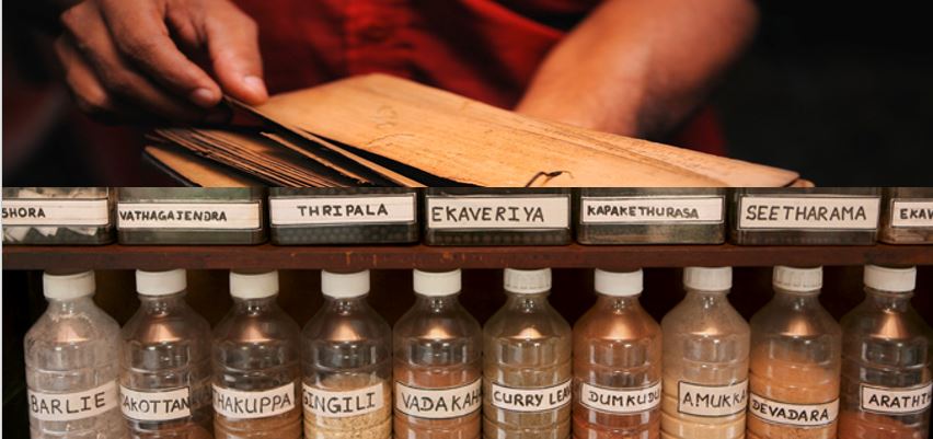 Ayurveda Health Center in hotel Ayurveda Paragon in Talpe, near Galle in Sri Lanka – Ayurveda Paragon Hotel Sri Lanka – authentic Ayurveda in Sri Lanka