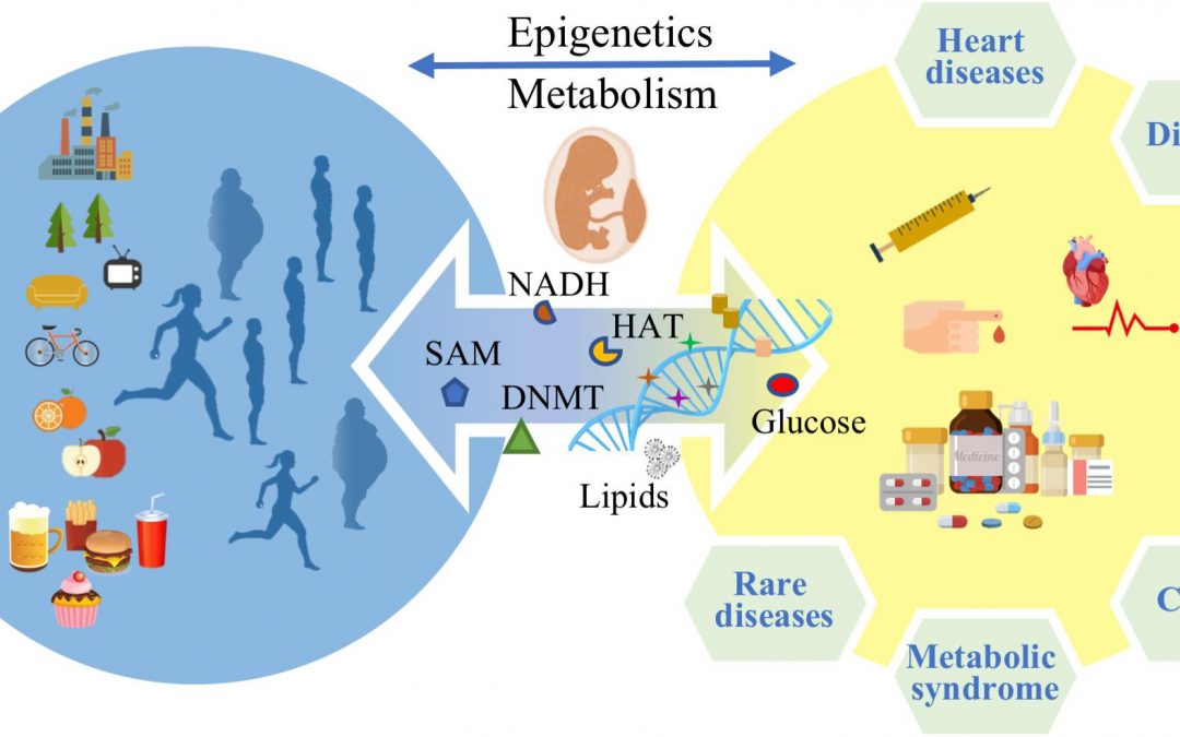 Epigenetics and Metabolism in Health and Disease