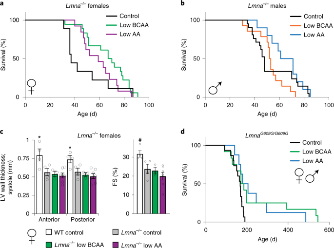 Lifelong restriction of dietary branched-chain amino acids has sex-specific benefits for frailty and life span in mice | Nature Aging