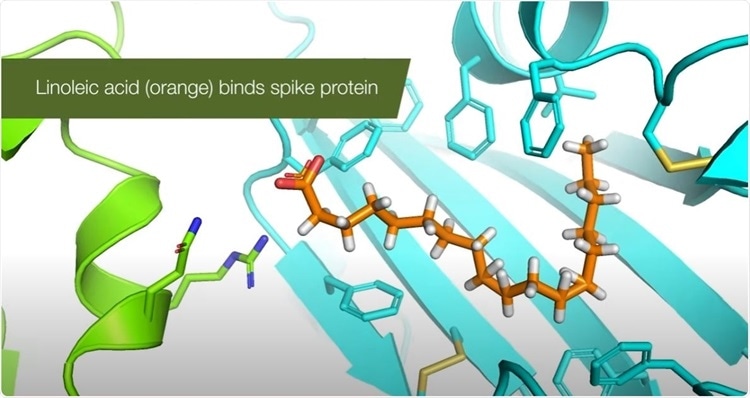 Linoleic acid binds SARS-CoV-2 spike protein