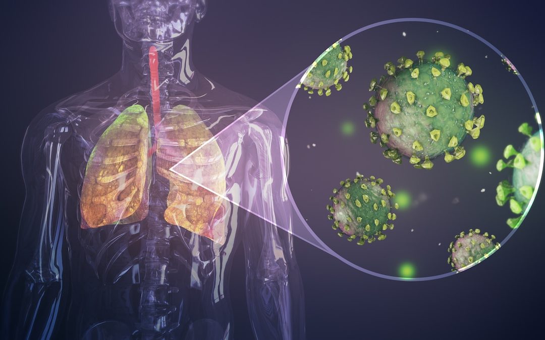 Could Differences in Microbiota Explain Variability in SARS-CoV-2 Susceptibility? – Behind the Bench